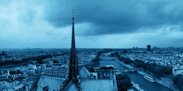Vista Panoramica Sul Tetto Parigi Dalla Cattedrale Notre Dame — Foto Stock