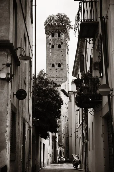 Vista Rua Lucca Com Torre Alberata Itália — Fotografia de Stock