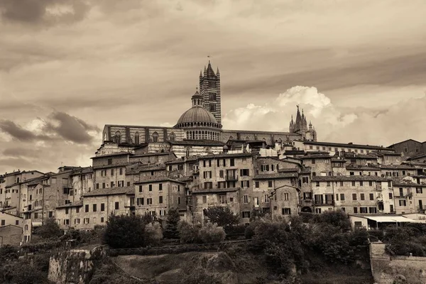 Siena domkyrka — Stockfoto