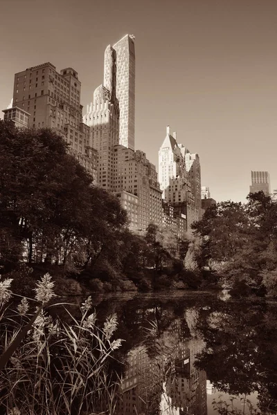 Central Park'a sonbahar — Stok fotoğraf