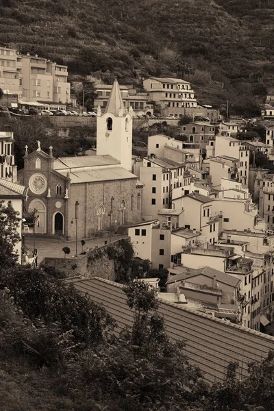 Vista del valle de Riomaggiore en Cinque Terre —  Fotos de Stock