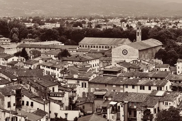 Lucca Kasabasının Çatısı Talya Görünüyor — Stok fotoğraf