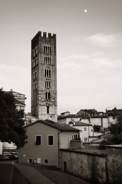 Lucca 'da tarihi yapıları olan Basilica di San Frediano..