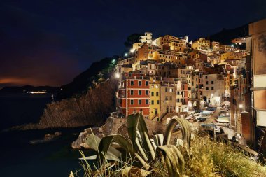 Riomaggiore waterfront gece