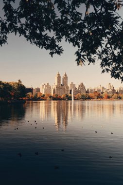 Central Park'a sonbahar