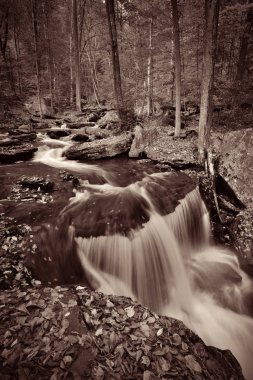 Siyah beyaz şelaleler