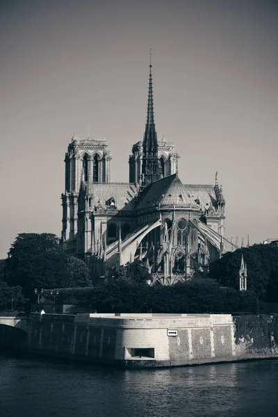 Paris Floden Seine Med Notre Dame Katedralen Frankrike — Stockfoto