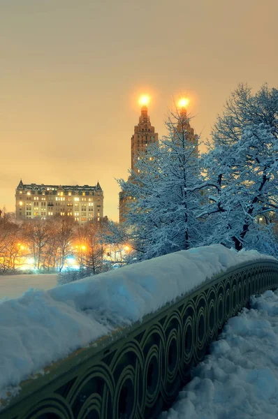 Parque central inverno — Fotografia de Stock