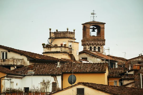 Lucca dak closeup — Stockfoto
