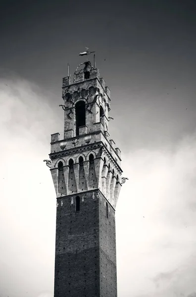 City Hall Bell Tower Closeup Siena Italy — Stock Photo, Image