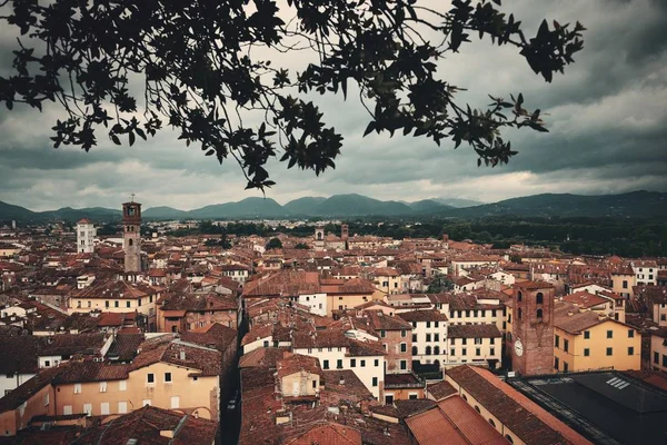 Torre Guinigi Vista Azotea Lucca Con Edificios Históricos Italia — Foto de Stock