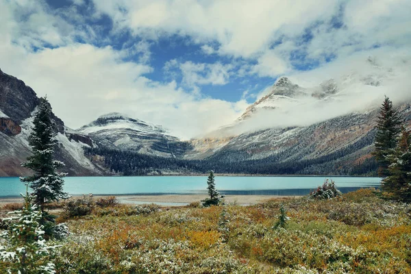 Bow Lake Con Montaña Nevada Bosque Parque Nacional Banff —  Fotos de Stock
