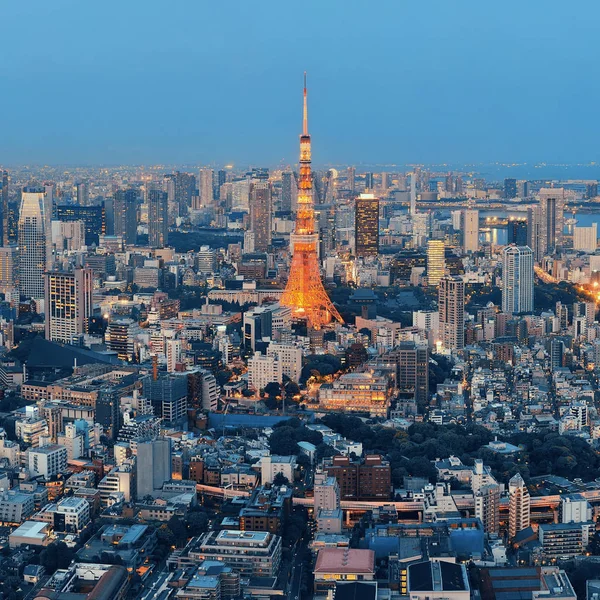 Tokyo Tower Urban Skyline Top View Night Japan — стокове фото