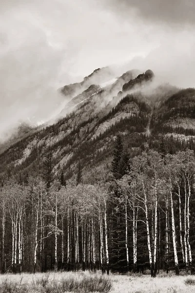 加拿大班夫国家公园 多雾的山脉和森林 — 图库照片