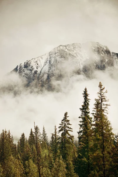 Banff Nationaal Park Mistige Bergen Bos Canada — Stockfoto