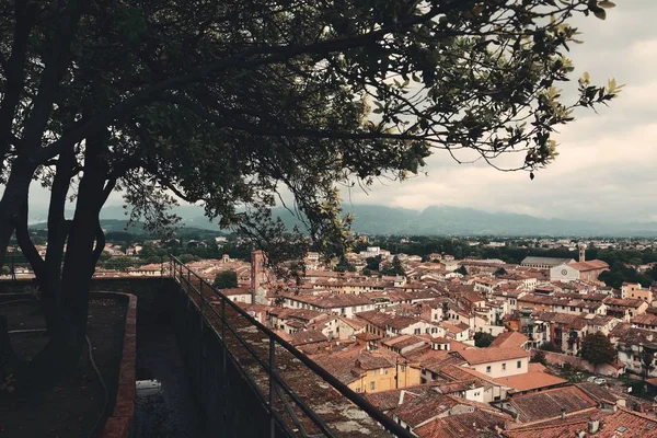 Torre Guinigi Lucca Vista Panoramica Con Edifici Storici Italia — Foto Stock