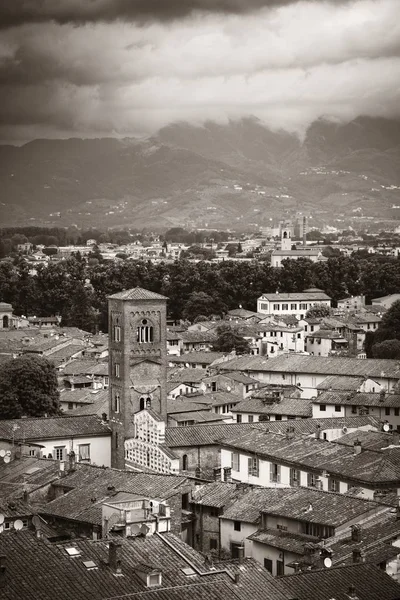 Lucca Vista Azotea Con Techos Rojos Campanario Edificios Históricos Cordillera —  Fotos de Stock