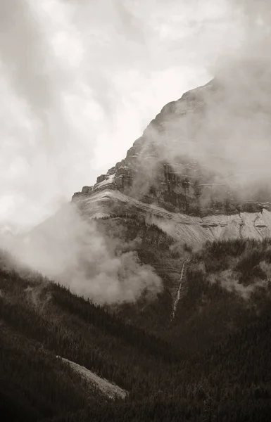 加拿大班夫国家公园 多雾的山脉和森林 — 图库照片