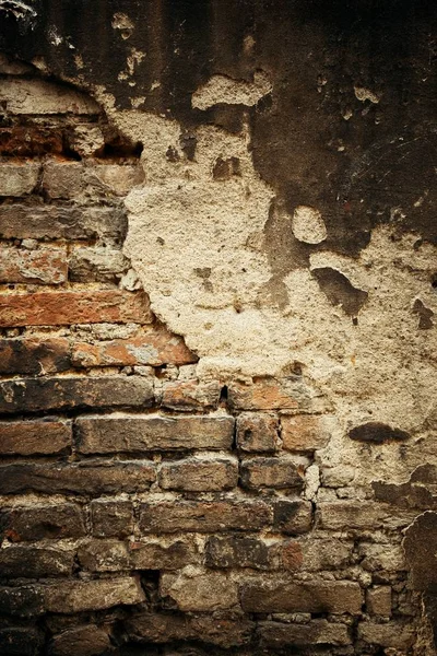 Italië Siena Oude Gebouw Muur Achtergrond Closeup — Stockfoto