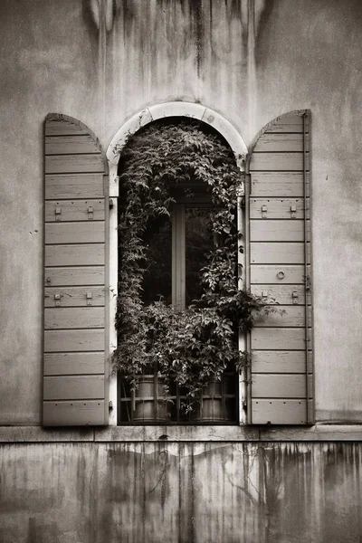 意大利威尼斯历史建筑窗户的近景 — 图库照片