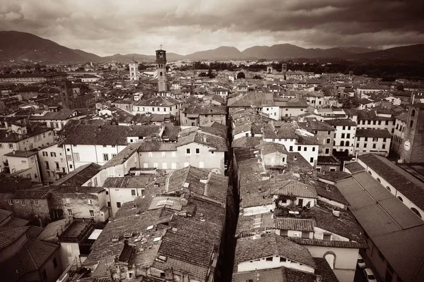 イタリアの歴史的建造物や山脈の赤い屋根を持つルッカの屋上ビュー — ストック写真