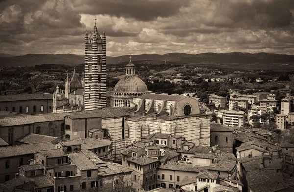 Kathedraal van Siena — Stockfoto