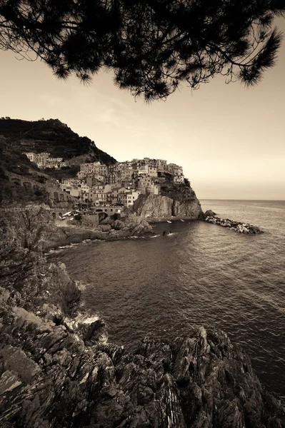 Manarola a Cinque Terre fekete-fehér — Stock Fotó