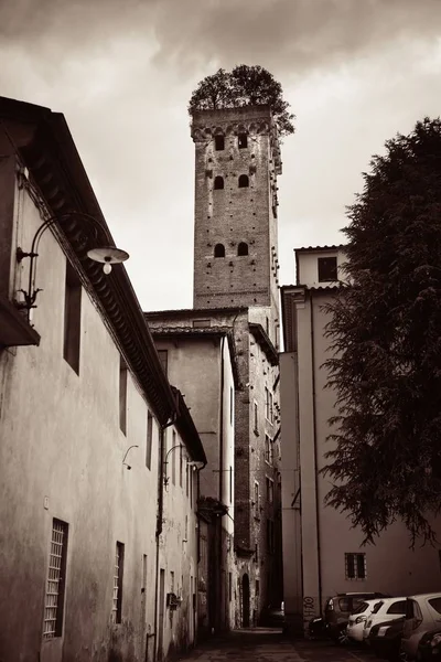 Vista Calle Lucca Con Torre Alberata Italia — Foto de Stock