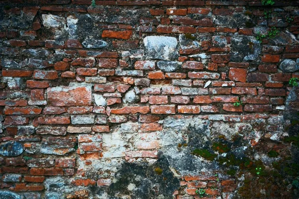 Brick Wall Texture Lucca Italy — Stock Photo, Image