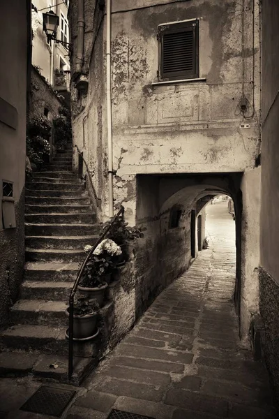 Vista Típica Beco Riomaggiore Cinque Terre Itália — Fotografia de Stock