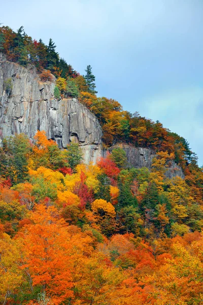 Fogliame autunnale — Foto Stock