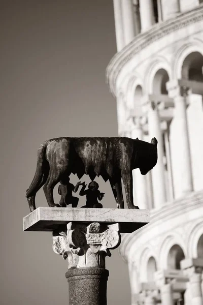 Torre Pendente Con Scultura Lupo Capitolino Lupa Pisa Italia Come — Foto Stock