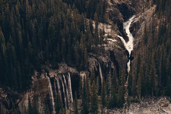 Floresta e cachoeira — Fotografia de Stock