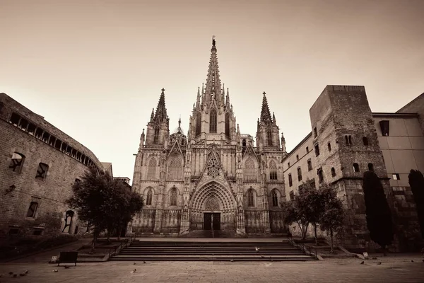 Cattedrale di Barcellona nel Quartiere Gotico — Foto Stock