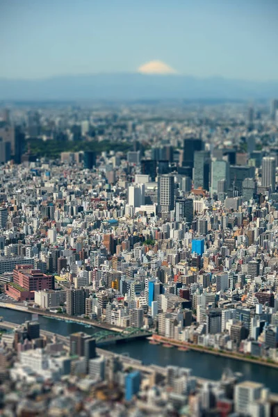 Widok Panoramę Miasta Tokio Fuji Japonia — Zdjęcie stockowe