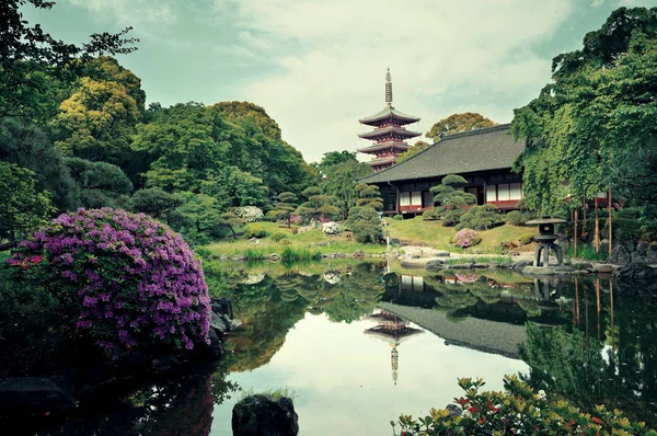 日本东京Sensoji寺花园 — 图库照片