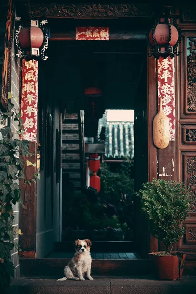 Naxi Hostel Mit Hund Einer Alten Straße Lijiang Yunnan China — Stockfoto
