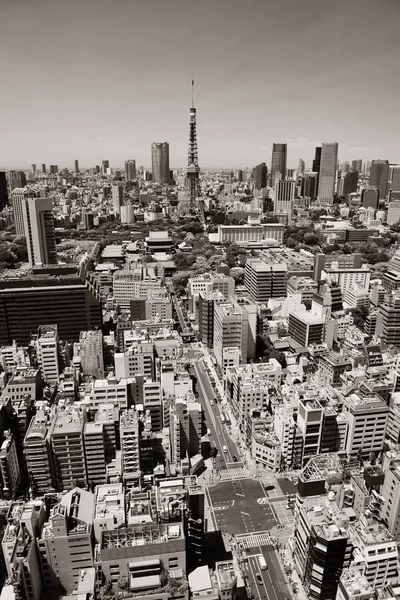 Tokyo Tower Urban Skyline Top View Japan — стокове фото