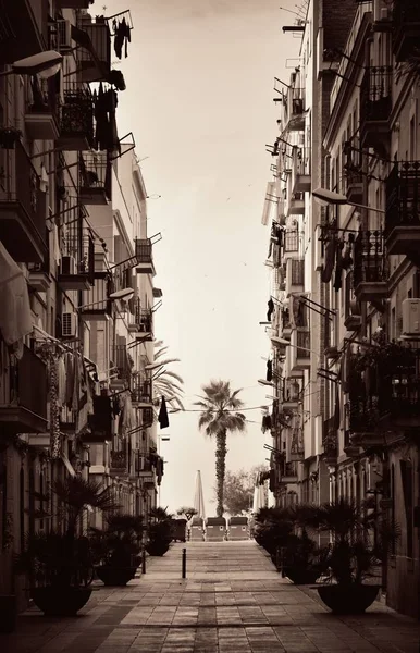 Vista Sulla Strada Albero Solitario Barcellona Spagna — Foto Stock