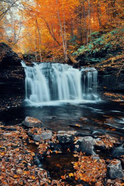 Parkta renkli yapraklarla sonbahar şelaleleri.