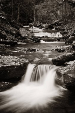 Ormandaki şelaleler siyah beyaz.