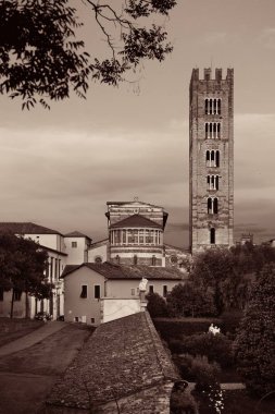 Lucca 'da tarihi yapıları olan Basilica di San Frediano..