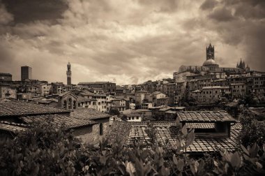 Tarihi binaları olan Siena Katedrali ve Torre del Mangia Çan Kulesi. İtalya