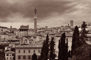 Ortaçağ kenti Siena tarihi binalar ve İtalya 'daki Belediye Zil Kulesi ile ufuk çizgisi manzarası