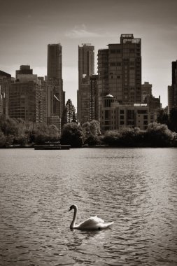 Vancouver şehrinin ufuk çizgisi Stanley Park 'tan görülüyor.