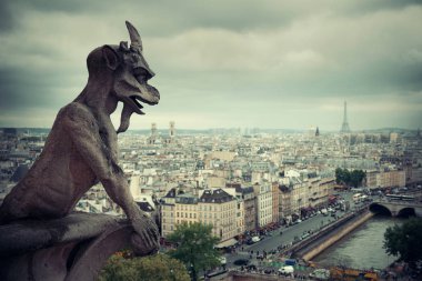 Notre-Dame Katedrali 'nin Paris çatı manzarası.