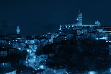 Siena Katedrali ve Torre del Mangia çan kulesi tarihi binaları ile. İtalya. Geceleyin