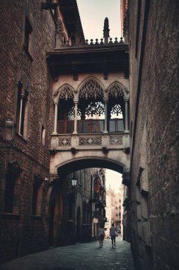 Pont del Bisbe ve Barcelona İspanya 'nın Gotik Mahallesi' nde dar bir sokak.