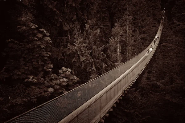 Ponte Suspensão Capilano Vancouver Canadá — Fotografia de Stock