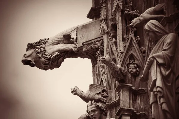 Siena Catedral Gárgola Primer Plano Como Famoso Hito Ciudad Medieval — Foto de Stock